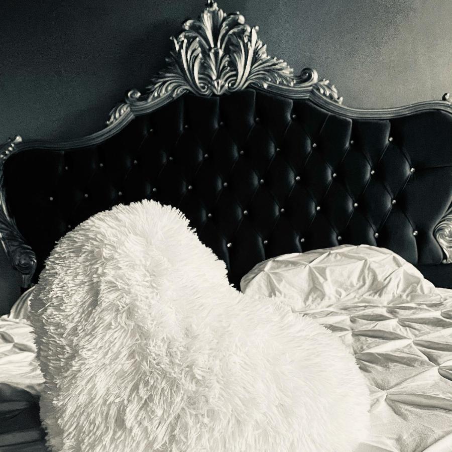 アヴェーヌ・シュル・エルプ Hypolite Bed & Breakfast エクステリア 写真